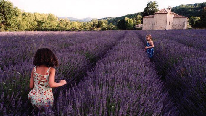 4 herbal secrets for staying cool this summer